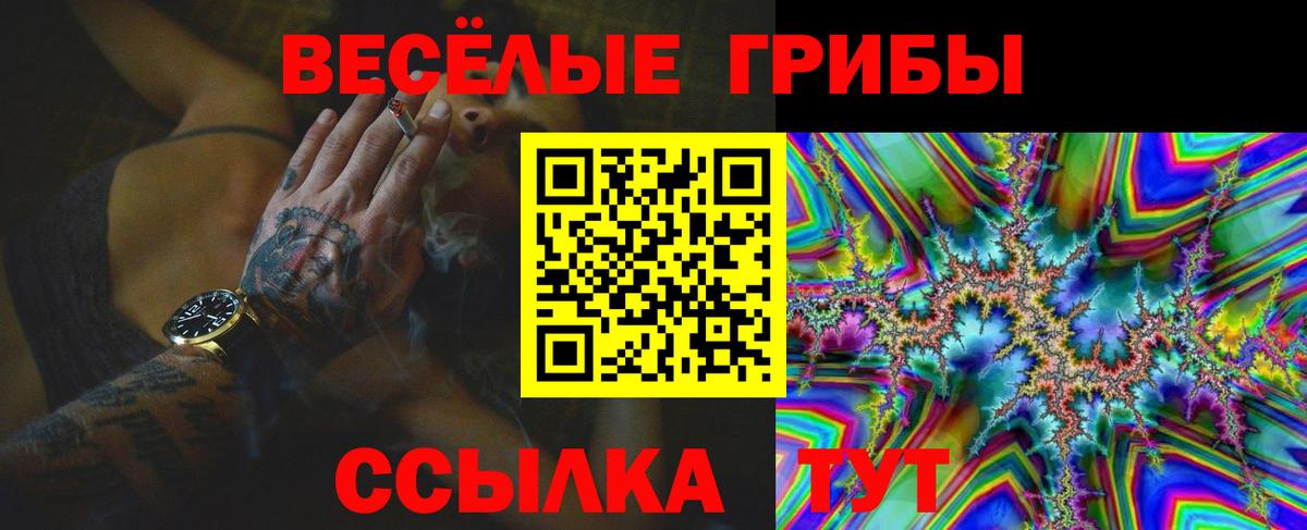Топки  Псилоцибиновые грибы ЛСД  сколько стоит  Галлюциногенные грибы ЛСД  Вход с VPN 