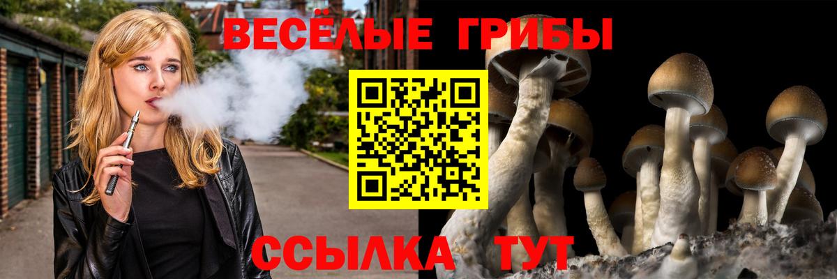 Галлюциногенные грибы Magic Shrooms Топки
